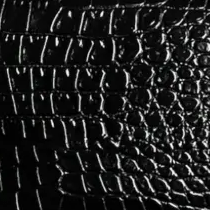 Black croco